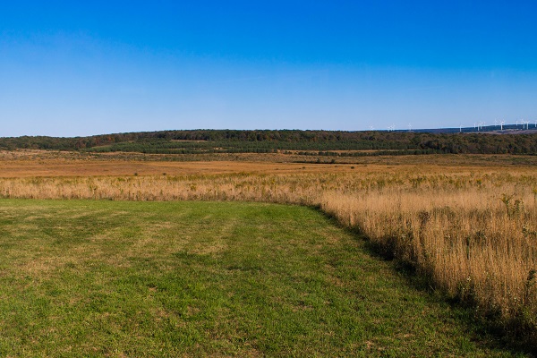 Field, hills in background